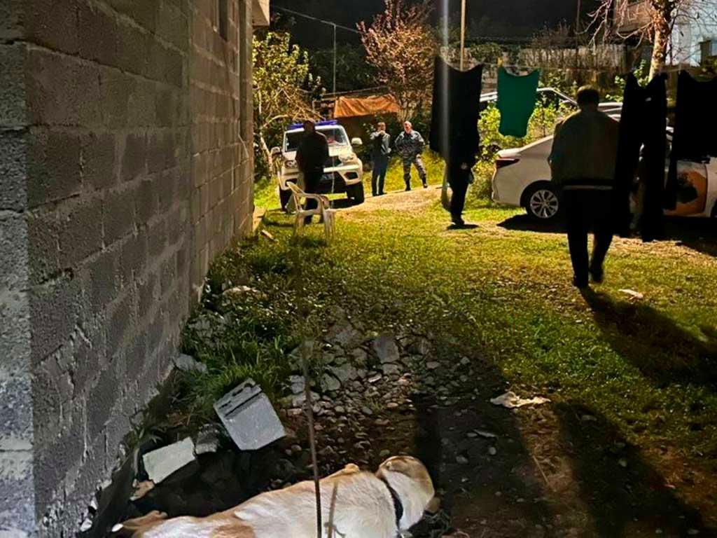 Алабай в Сочи напал на детей, начато уголовное дело