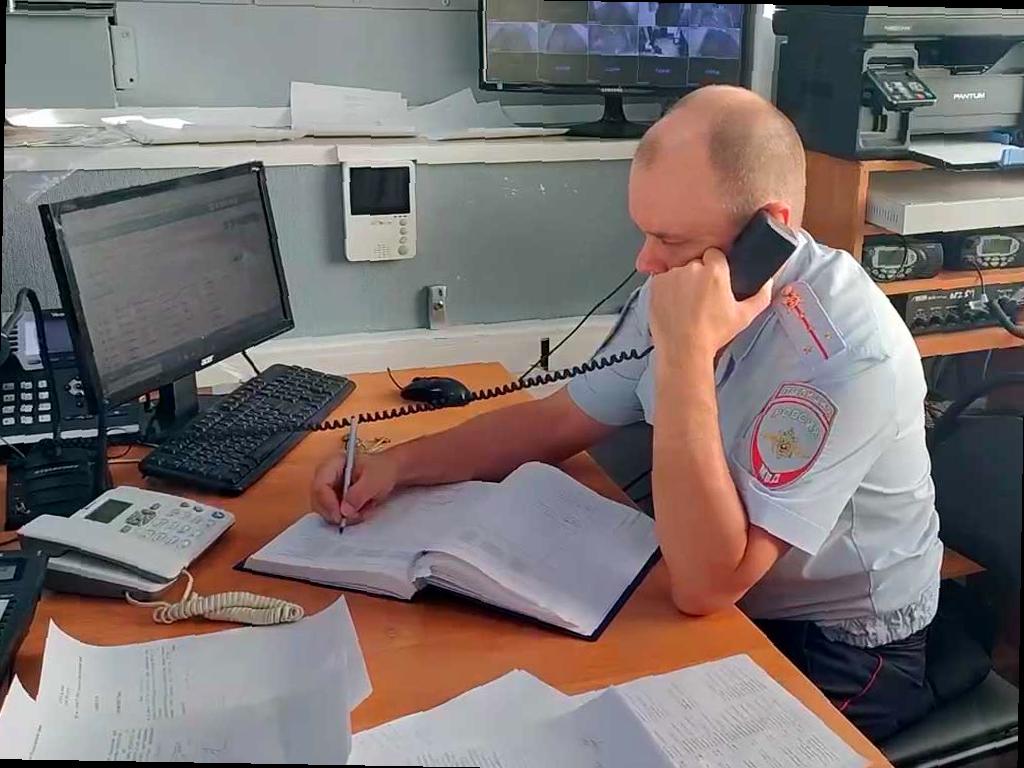 В Сочи начали проверку после жалоб на стрельбу по животным