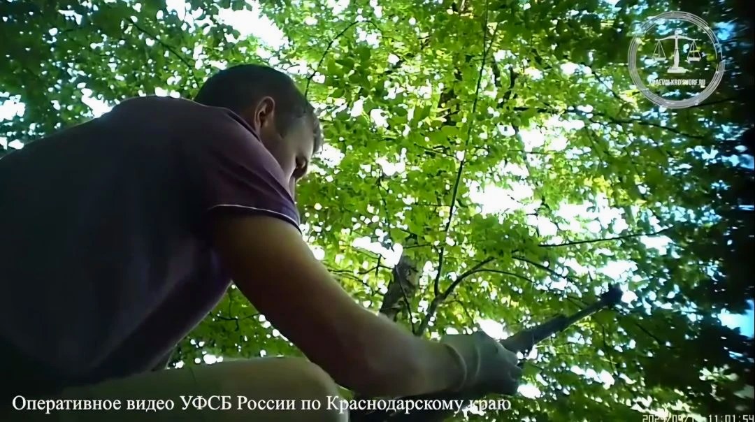 Приговоренный к 6 годам колонии за хранение и сбыт оружия в Сочи