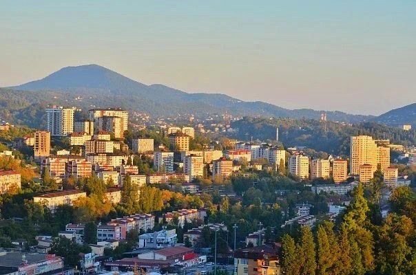 Контроль за торговлей и парковкой в Сочи принес 23,5 миллиона рублей